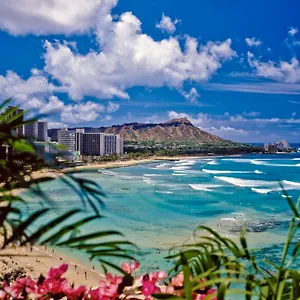 Ocean View Escape, Steps To & Free Parking! Honolulu